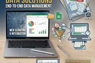 does accurate data entry, excel and google sheets work