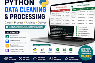 do python data cleaning and processing