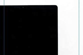 do data entry and typing work fast and accurate