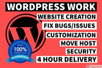 create, fix, customize, migrate, speed up wordpress