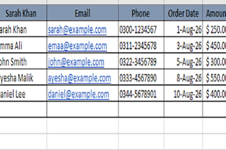 do excel data entry, formatting and spreadsheet cleanup