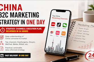 create a china b2c marketing strategy in one day