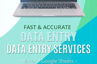 do fast and accurate data entry in excel and google sheets