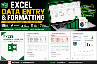 do excel data entry, formatting and cleanup
