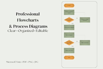 professional flowcharts and process diagrams