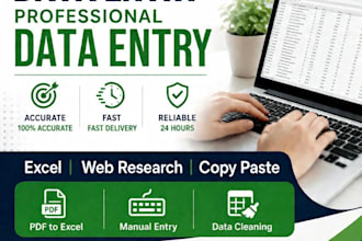 do accurate data entry, excel and typing work