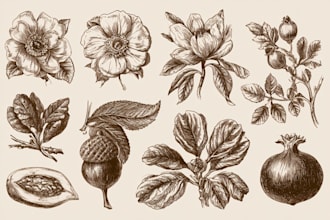 design professional botanical plants, fruits illustration