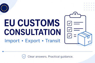 provide eu customs import export and transit consultation