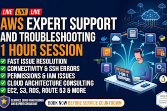 provide 1 hour of professional AWS expert support or troubleshooting