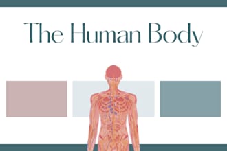 design medical and anatomy canva presentations