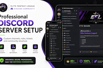 create and setup a professional discord server