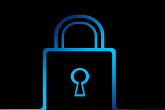 perform a cybersecurity audit and deliver a vulnerability report