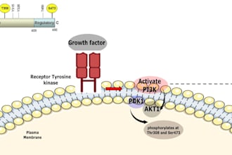 do network pharmacology and drug discovery