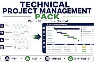 create a professional project management plan
