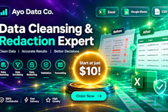 do excel data cleansing, scrubbing, data redacting, validation, and formatting
