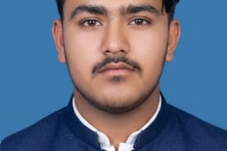 web developer   and frontend developer