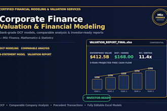 build a professional financial model and valuation report