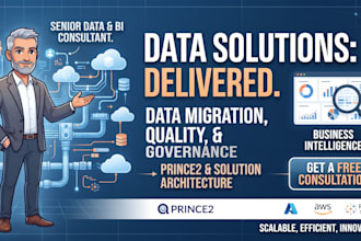 manage complex data migration and integration programs