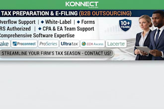 prepare and file your US tax return 1040, 1065, 1120, 990