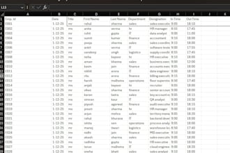 data entry , excel , google sheet