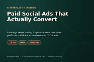 be your paid social ads manager tiktok, meta, snapchat