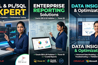 build complex sql queries, pl sql procedures, and custom business reports
