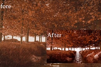 do professional photo editing and color correction