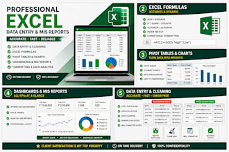 excel data entry, formula, mis