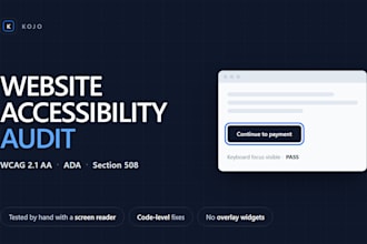 do a manual website accessibility audit for wcag ada and section 508
