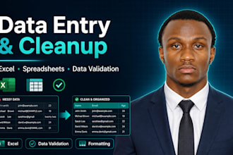 do data entry, cleanup, and formatting in excel