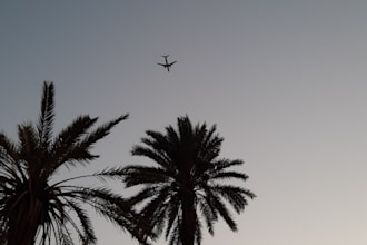 create a personalized budget travel plan for you