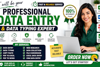 be your professional im worker data typist and data entry assistant
