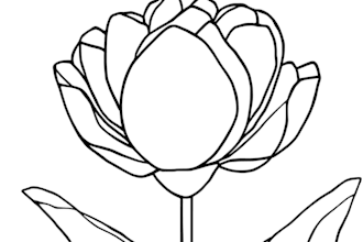 do KDP kids coloring book, KDP coloring book cover design KDP kids activity book