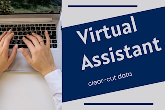 expert data entry  online typing specialist