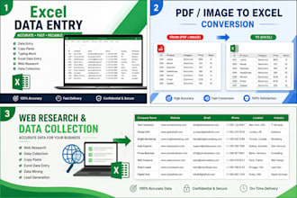 provide accurate data entry services
