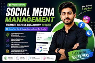 manage your facebook and instagram marketing professionally