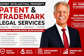 provide expert patent trademark and intellectual property legal advice