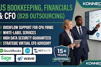provide professional US bookkeeping and financial statements