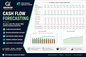 prepare cash flow forecast, budget and financial projections