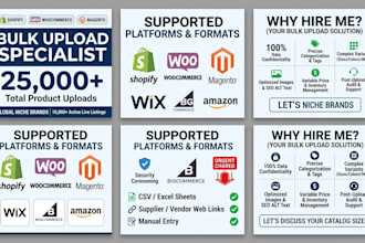 be your ecommerce bulk product upload specialist