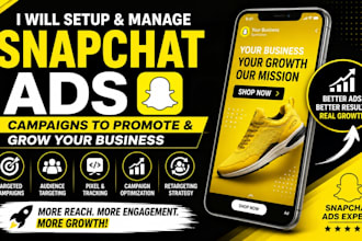 setup and manage snapchat ads campaigns to promote and grow your business