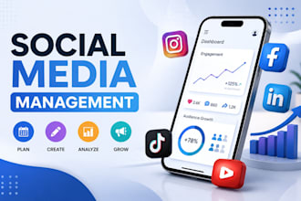be you linkedin promotion expert social media manager and facebook ads setup