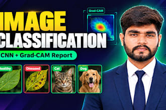train custom CNN image classification models in pytorch or tensorflow