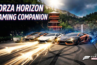be your forza horizon 6 gaming buddy and duo partner on PC