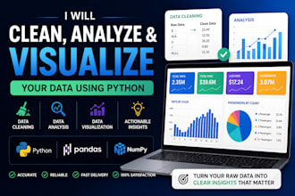 do python data analysis, data cleaning and visualization