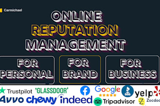 provide ORM, online reputation management and brand reputation management