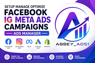 setup manage optimize facebook ig meta ads campaigns ads manager
