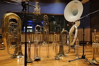 record cornet,tuba,frenchorn,trombone euphonium  trumpet, sousaphone flugelhorn