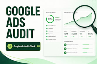 deliver a professional google ads audit and action plan
