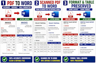 convert PDF to word ,excel and retype documents